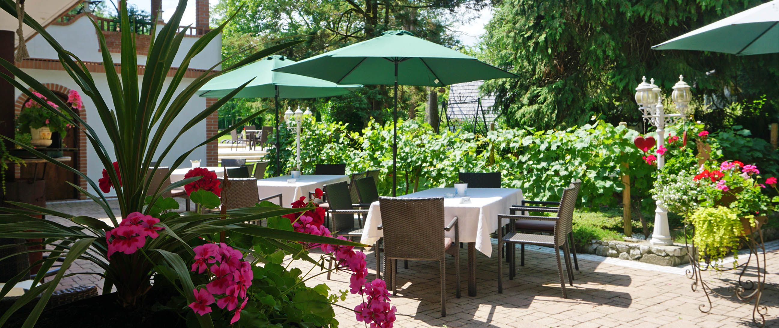 Slide #3 Slide background