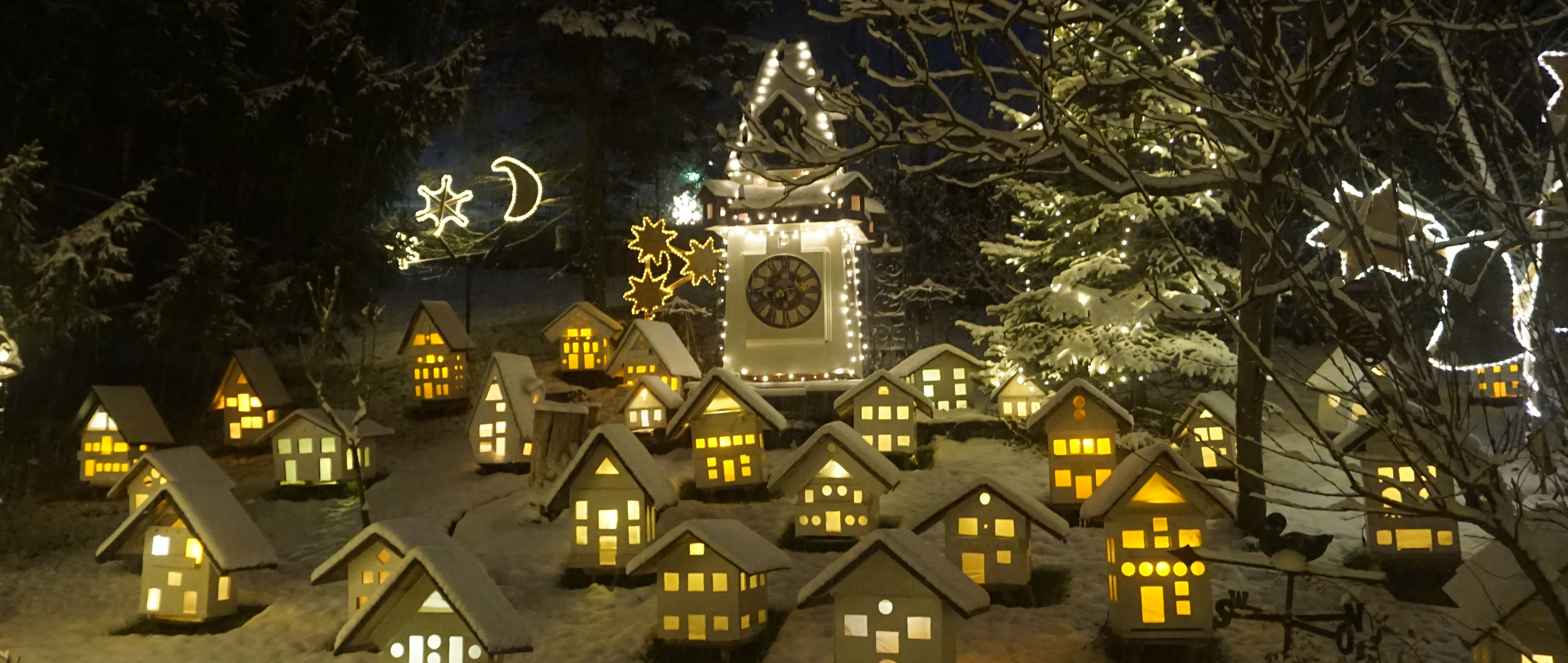 Slide #8 Slide background