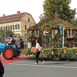 Weinlesefest2015  13 