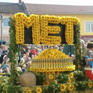 Weinlesefest Okt. 2015  18 