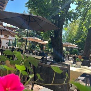 Gastgarten in Richtung Gartenanlage